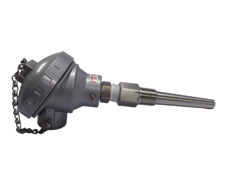 RTD sensor with large terminal head on a screwed thermowell