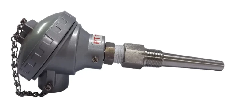RTD sensor with terminal head on a screwed stainless thermowell